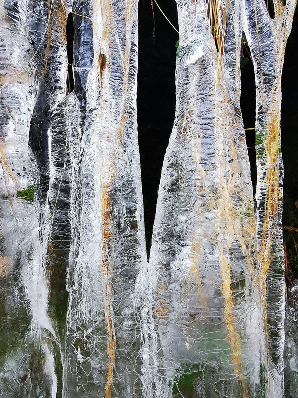 Quels sont les meilleurs conseils pour un camping en région de taïga en hiver?